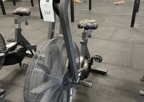 ROGUE ECHO BIKE