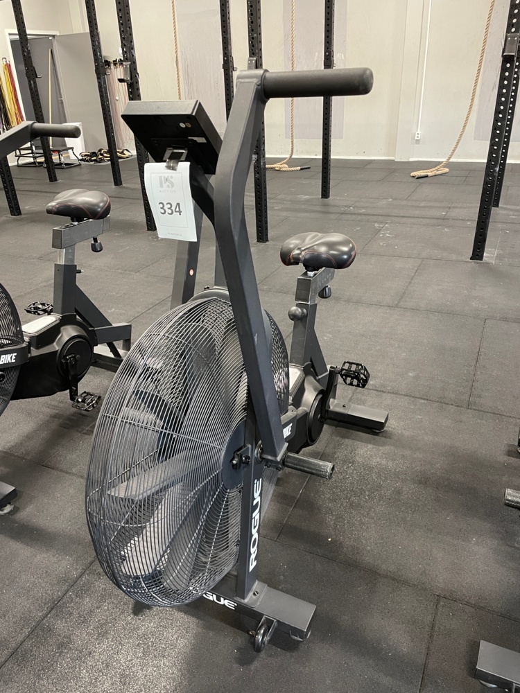 1590334-1 ROGUE ECHO BIKE