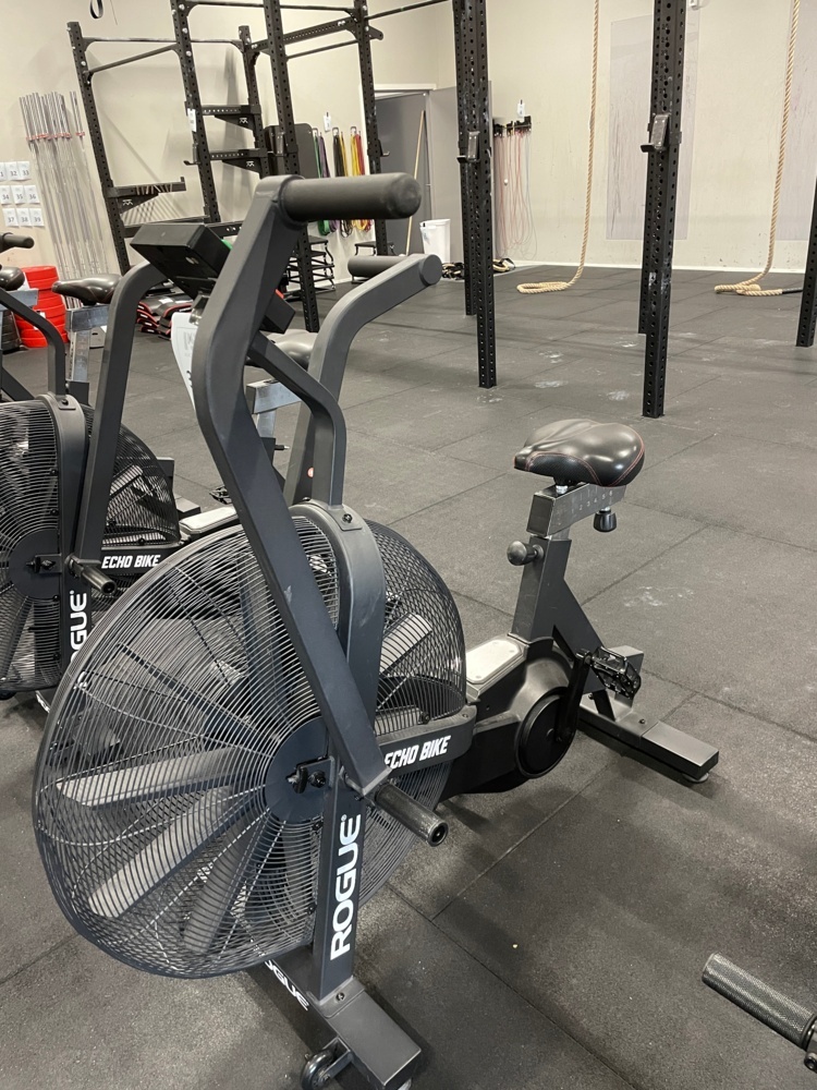 1590334-2 ROGUE ECHO BIKE