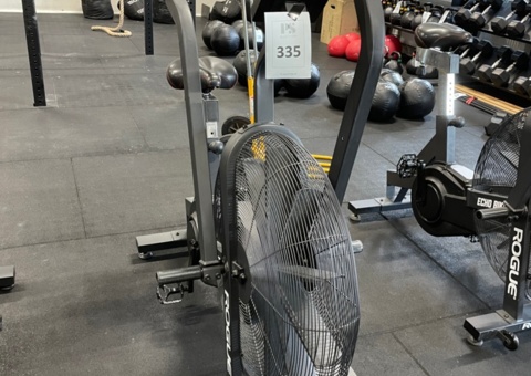 ROGUE ECHO BIKE