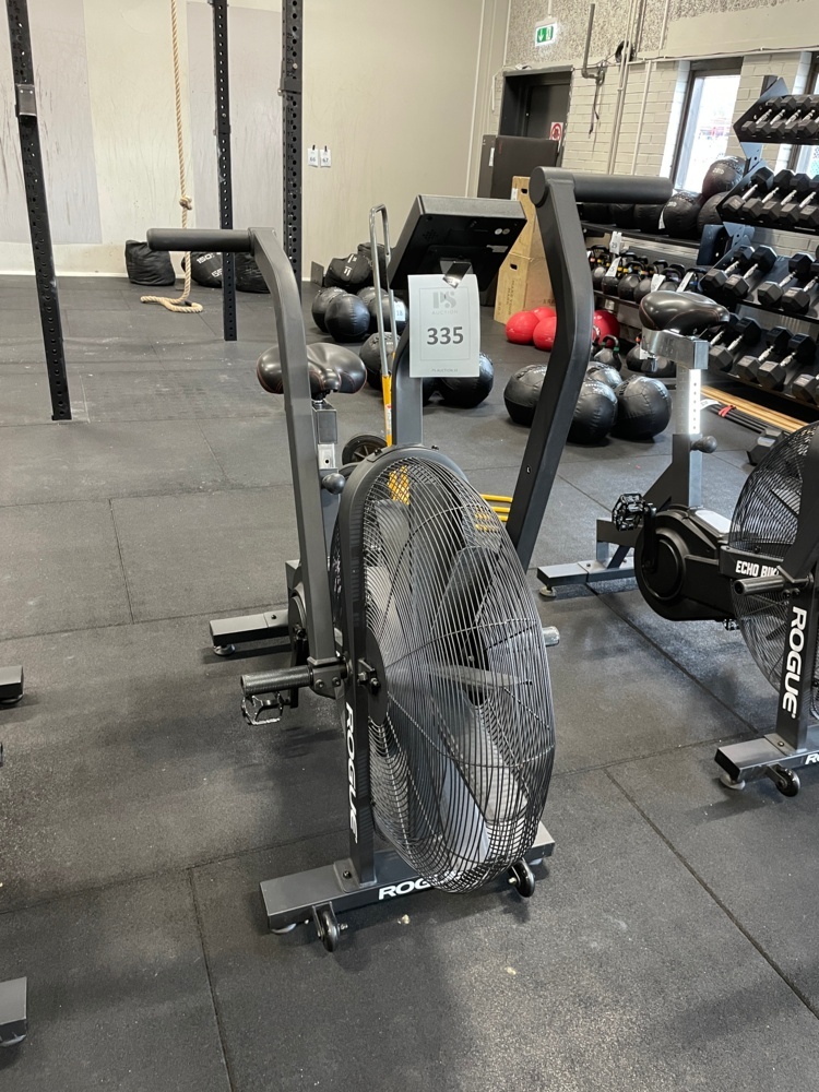 1590335-1 ROGUE ECHO BIKE