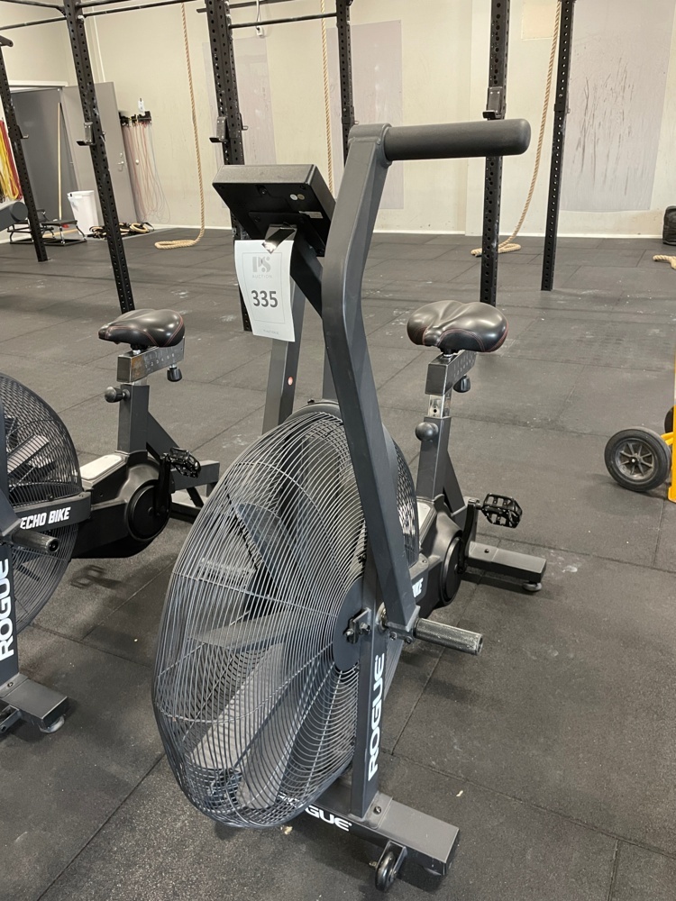 1590335-2 ROGUE ECHO BIKE