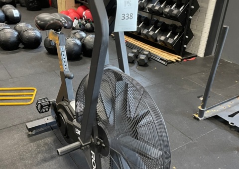 ROGUE ECHO BIKE