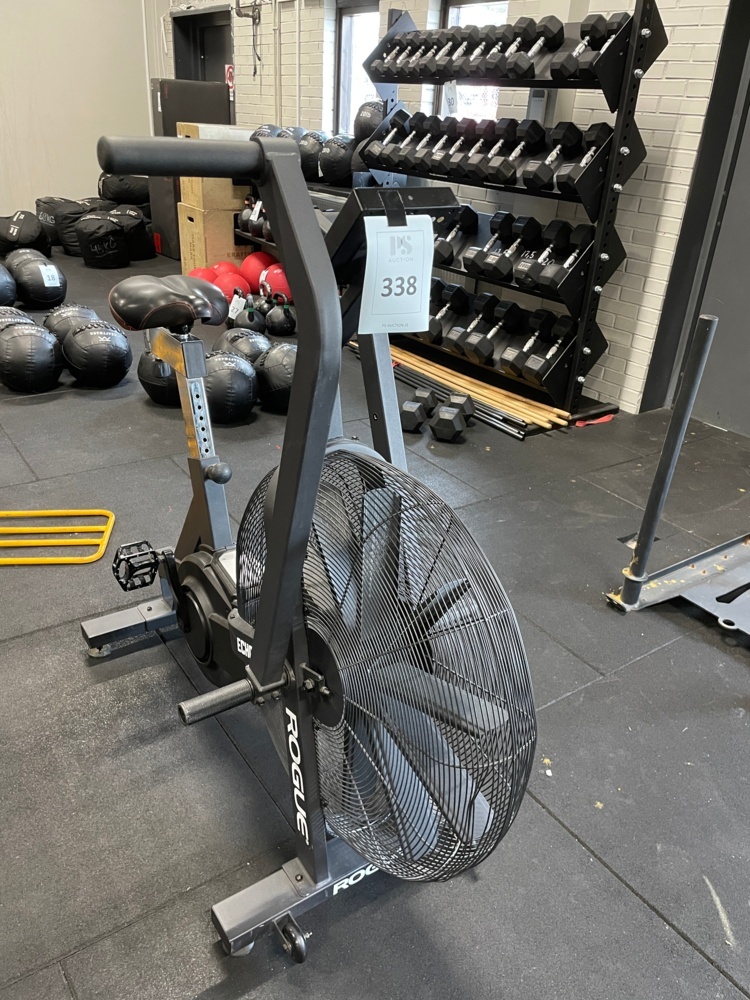 1590338-1 ROGUE ECHO BIKE