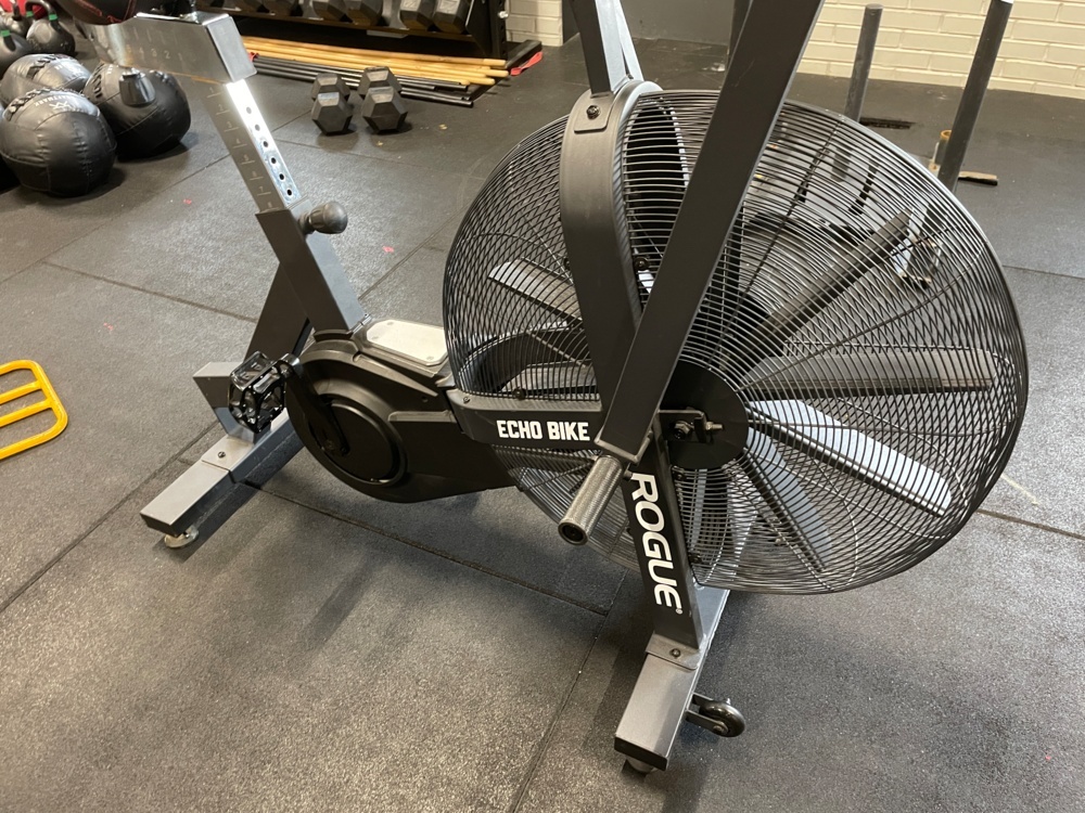 1590338-2 ROGUE ECHO BIKE