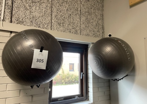Pilates balls