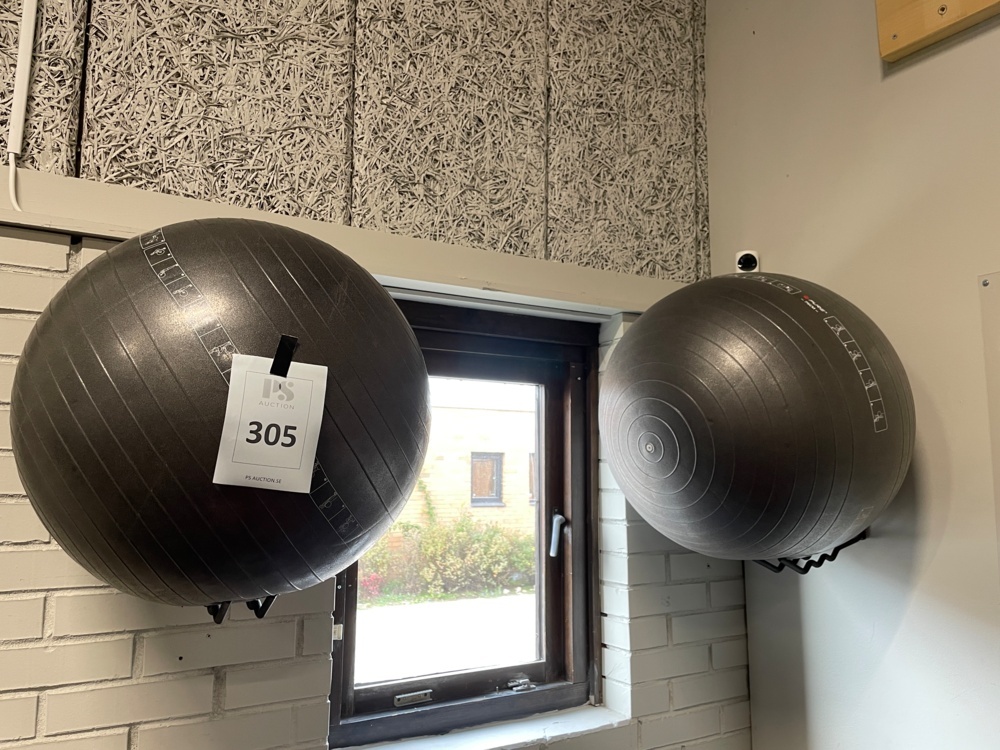 1590305-1 Pilates balls