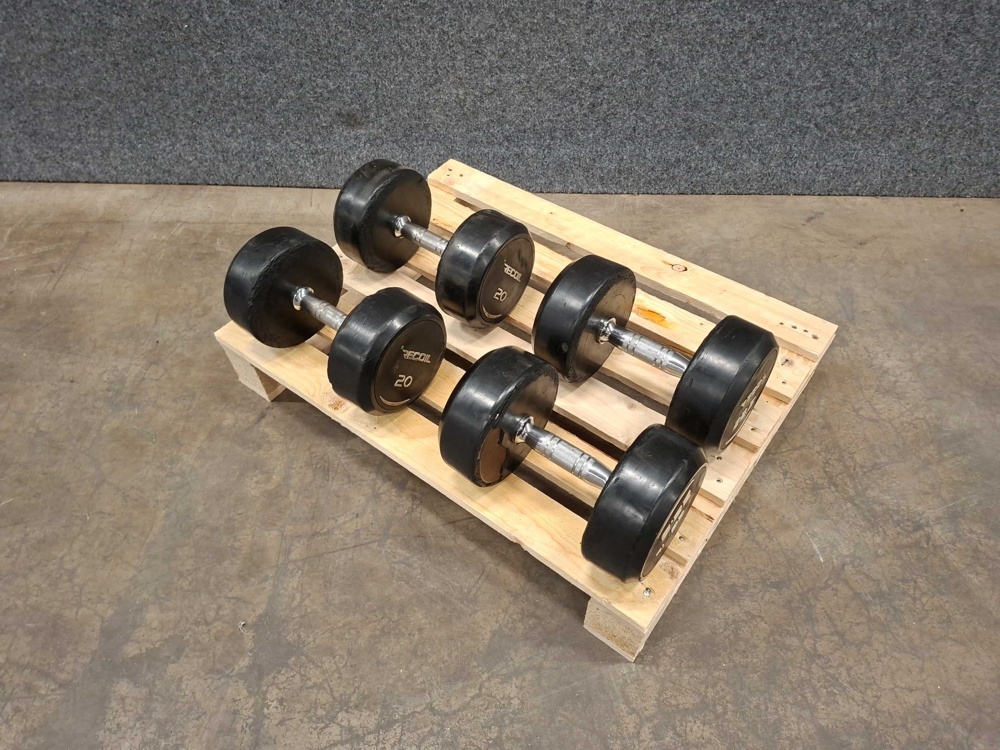 1591520-1 Dumbbells, Recoil 20 & 22.5kg