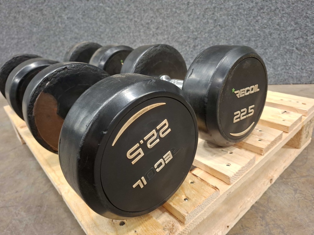 1591520-2 Dumbbells, Recoil 20 & 22.5kg