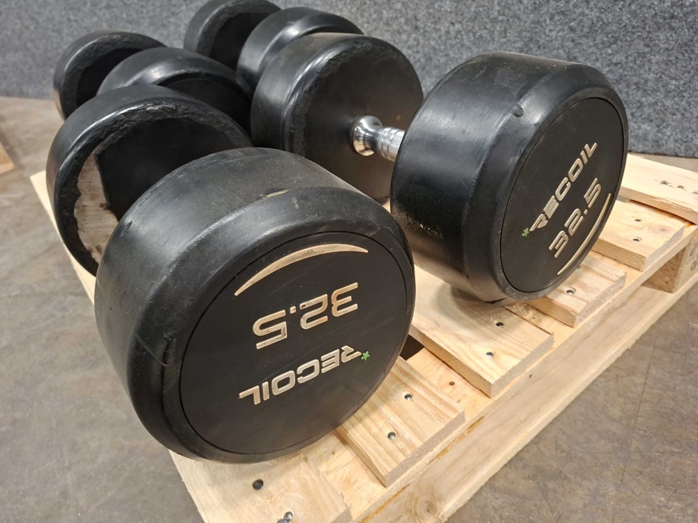 1591521-2 Dumbbells, Recoil 30 & 32.5kg