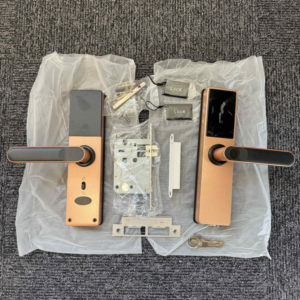1591479-1 2 pcs Smart Lock Entrivo HR05 Rose gold - Free shipping