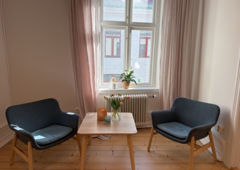 Kontorsinredning - Fåtöljer, hatthyllor, speglar, byrå, m.m.