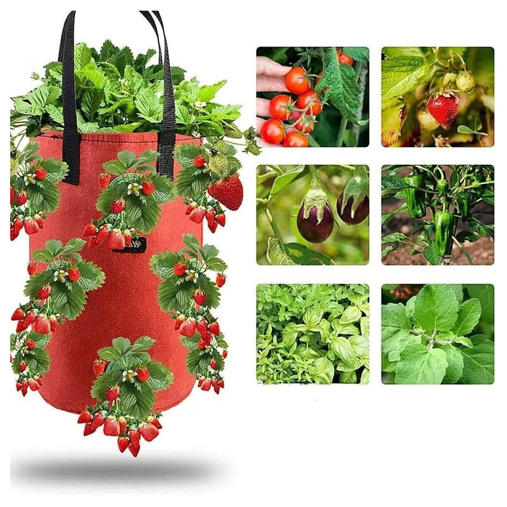 1590480-1 Hanging fabric planters, 20 pcs - strawberries, red
