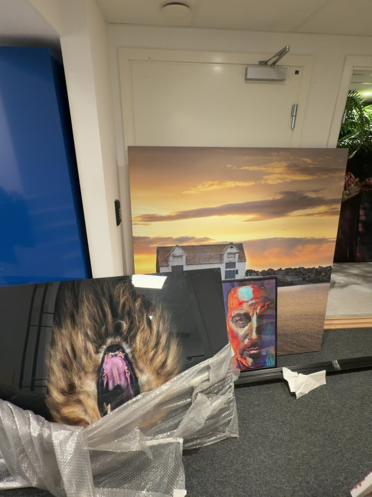 1506085-1 Lot with larger paintings