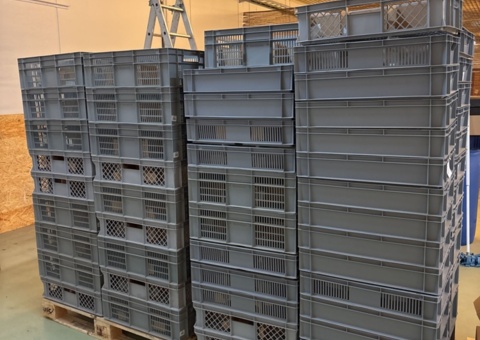 Stackable plastic crates approximately 100+ pcs