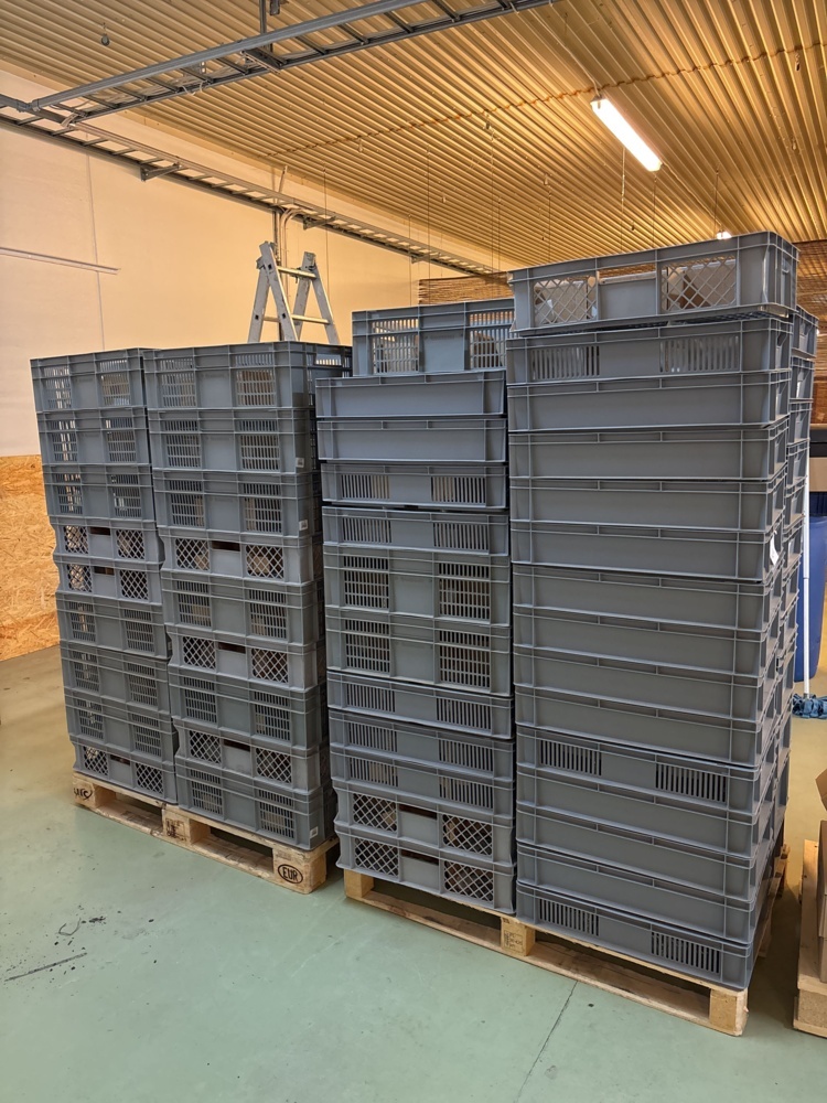 1511496-1 Stackable plastic crates approximately 100+ pcs