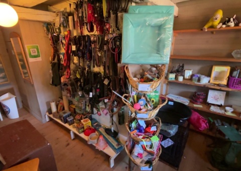 Collection of dog accessories and pet items