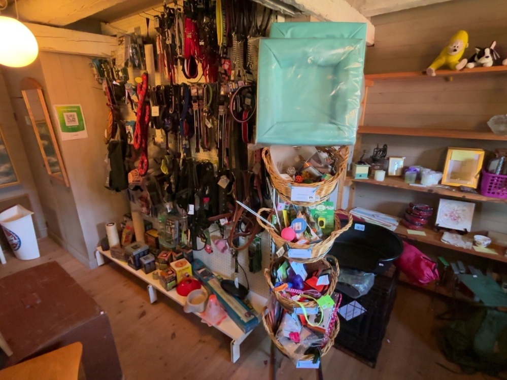 1587714-1 Collection of dog accessories and pet items