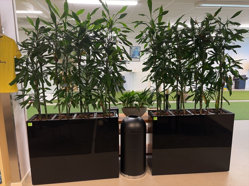 1576451-1 Plant boxes with plants 4 pcs