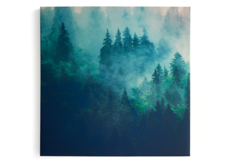 Sound absorber IMAGE Morgondis, part 2, 1200x1200 mm
