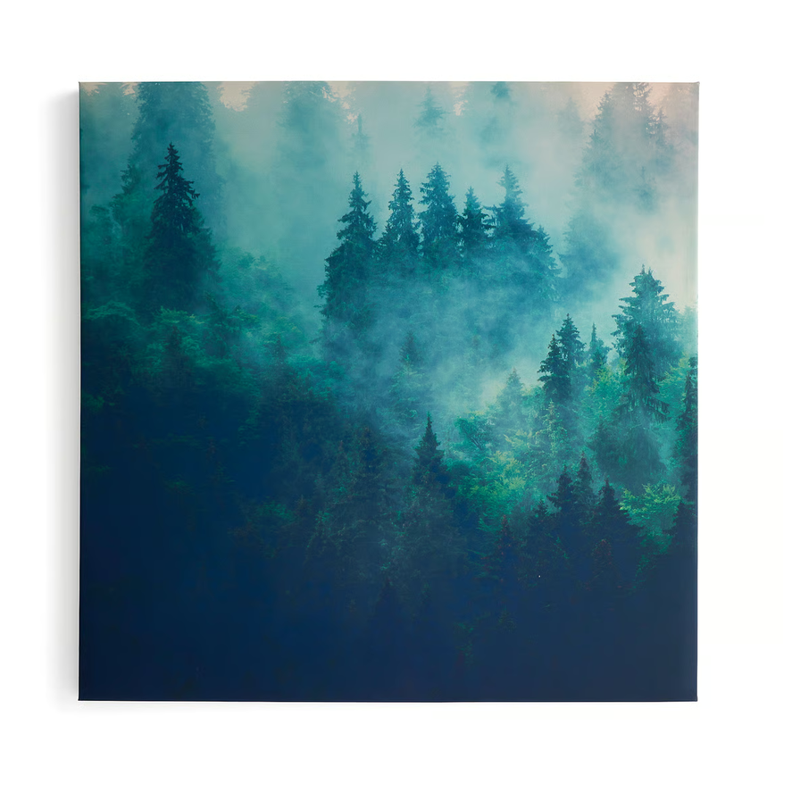 1593927-1 Sound absorber IMAGE Morgondis, part 2, 1200x1200 mm