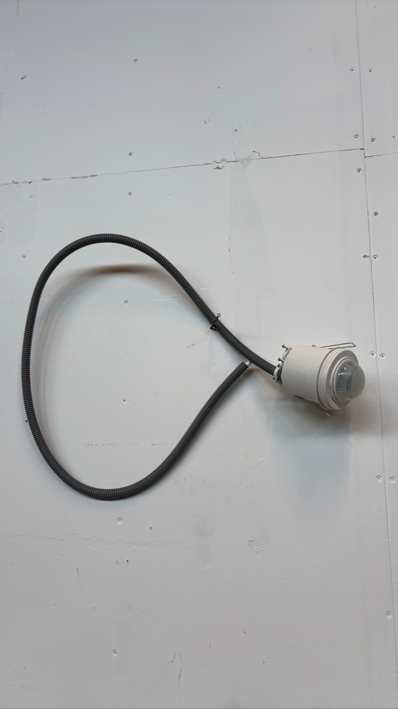 1596568-2 Presence sensor 11 pcs