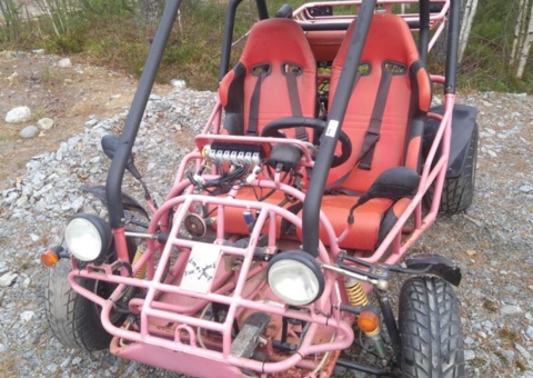 Dune buggy Dichao -2006