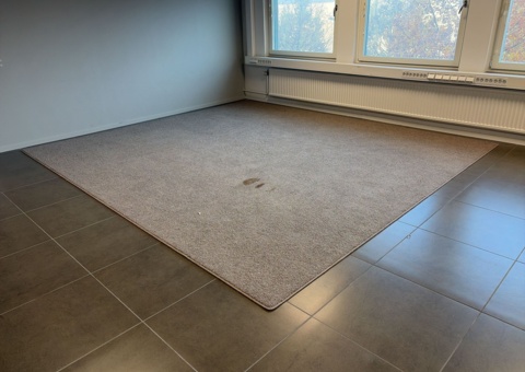 Carpets 2 pcs - Vorwerk