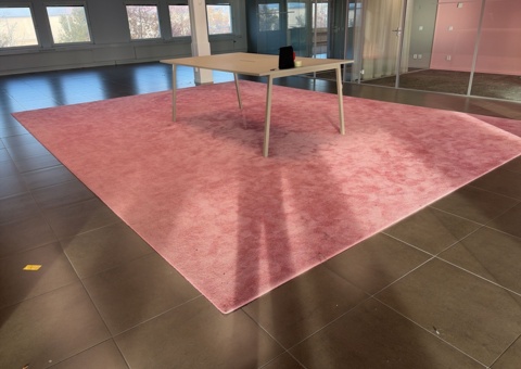 Carpet approx. 684x504, pink - Vorwerk