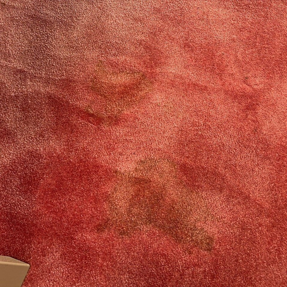 1576488-2 Carpet approx. 684x504, pink - Vorwerk
