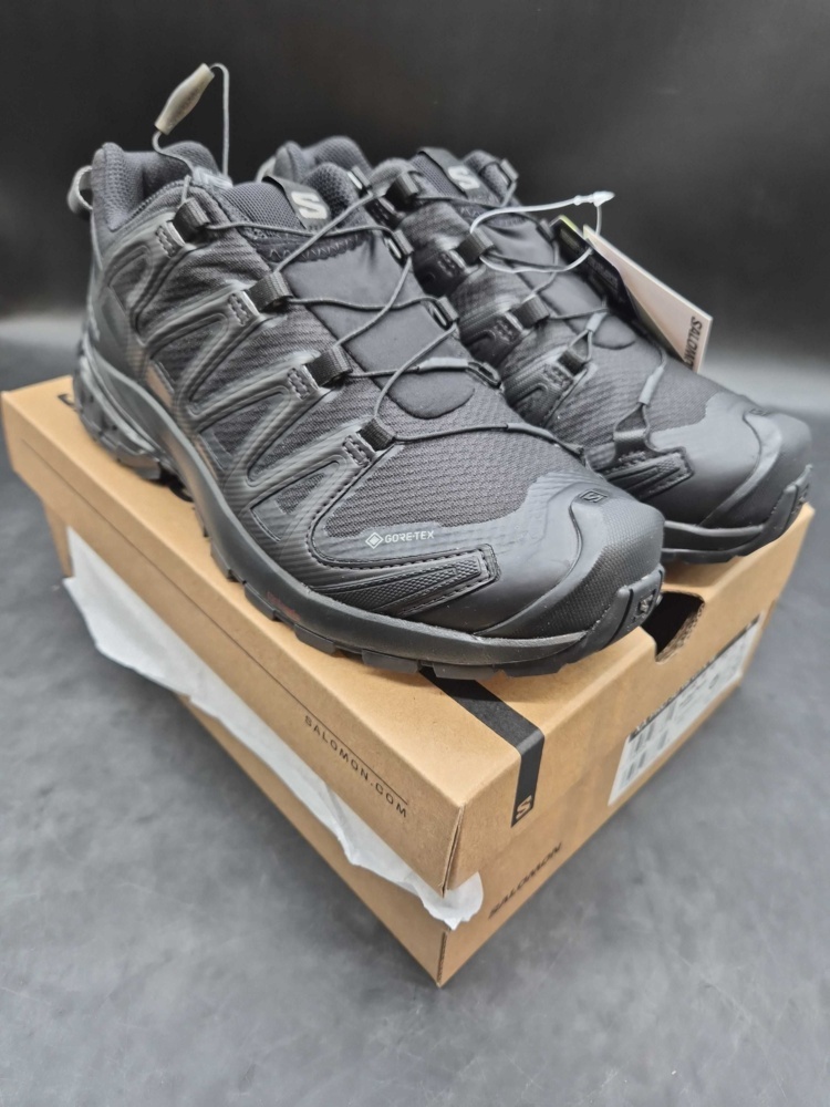 1602880-1 Friluftsskor - Salomon XA Pro 3D v8 GTX W, dam, stl 40