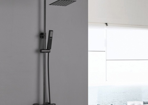 Ceiling shower with hand shower Black - Rone