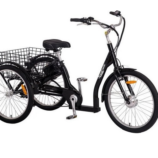 1602448-1 Three-wheeled electric bike with 7 gears - 250W