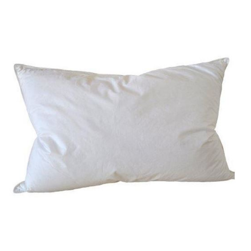 1603449-1 2 inner pillows Grand Design Duck feather/down 50×60 cm