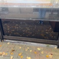1576495-2 Vindskydd höj- och sänkbara i glas 9 st