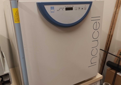 Incubator - MMM Group Incucell LSIS-B2V / IC 55 -2014