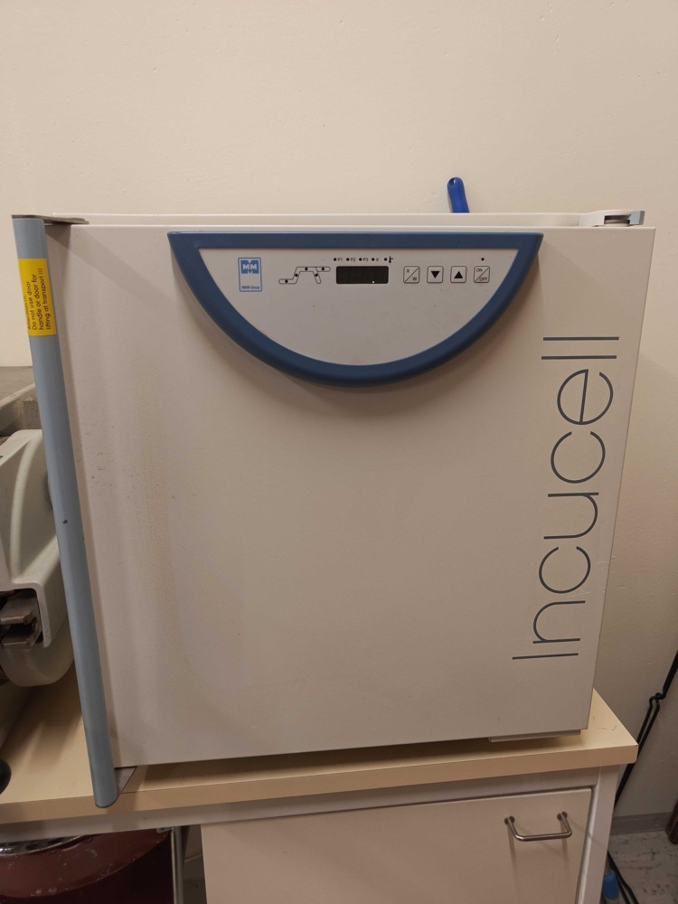 1373638-2 Inkubator - MMM Group Incucell LSIS-B2V / IC 55 -2014