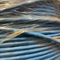 1603865-3 Nätverkskabel  - Schneider Electric Actassi Cat 6A F/FTP (CL-MX)