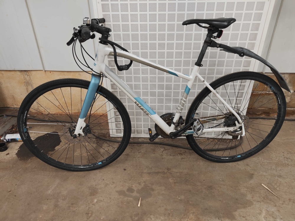 1581789-1 Bicycle White SC Lite FF Ane
