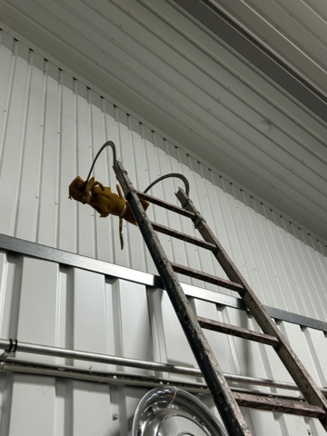 1600210-9 Utskjutsstegar 5 st - Wibe, S. Ando