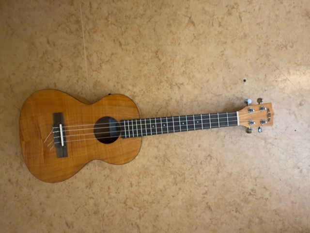 1458581-6 Parti musikinstrument – gitarr, basukulele, ukulele och digitalt trumset