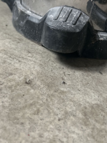 1604946-7 Dammsugare 2 st - DeWalt DXV30SAPTA
