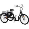 1604630-1 Trehjulig elcykel med 7 växlar - 250W
