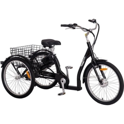 1604630-1 Trehjulig elcykel med 7 växlar - 250W