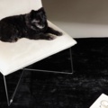 1600783-3 Nina polyester 230 × 160 cm