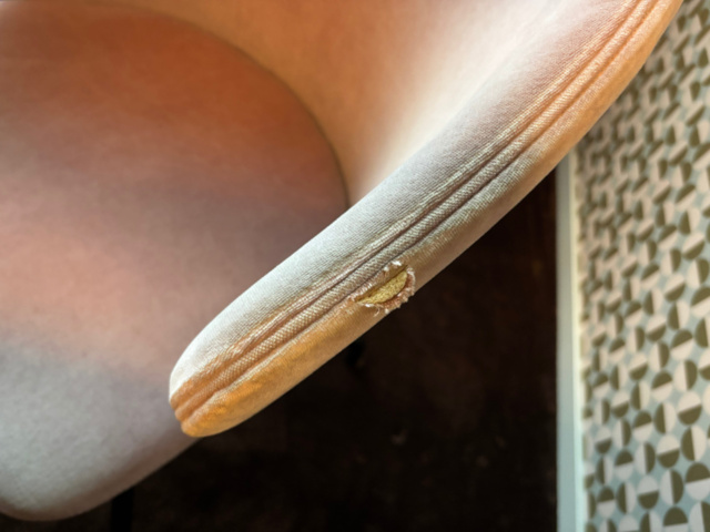 1548281-12 Mötesmöblemang och inredning - deNona