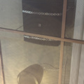 1548285-18 Ljudanläggning med högtalare, subwoofers och mikrofonutrustning - Audac / Sennheiser m.fl.