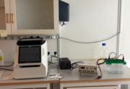 1549158 Elektroforessystem – Bio-Rad GelDoc Go, PowerPac 300 och Criterion Cell med spänningsomvandlare
