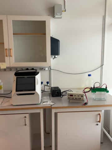 1549158-1 Elektroforessystem – Bio-Rad GelDoc Go, PowerPac 300 och Criterion Cell med spänningsomvandlare
