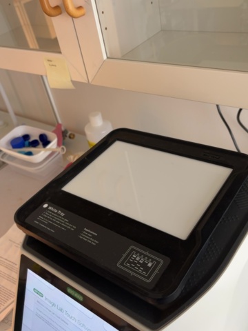 1549158-5 Elektroforessystem – Bio-Rad GelDoc Go, PowerPac 300 och Criterion Cell med spänningsomvandlare